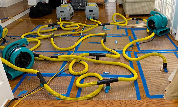 Professional Crawl Space Water Removal technician working in Holcomb, IL